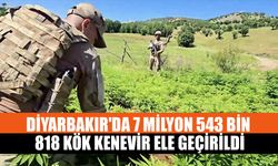 Diyarbakır'da 7 Milyon 543 Bin 818 Kök Kenevir Ele Geçirildi