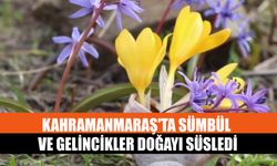 Kahramanmaraş'ta Sümbül Ve Gelincikler Doğayı Süsledi