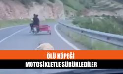 Ölü Köpeği Motosikletle Sürüklediler