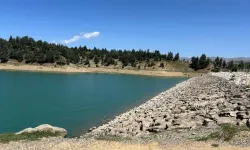 Çağlayancerit'teki Merk Göleti tehlike altında!