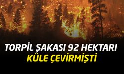 Torpil Şakası 92 Hektarı Küle Çevirmişti