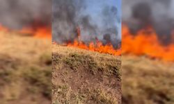 İtfaiye ekiplerinin hızlı müdahalesiyle kontrol altına alındı