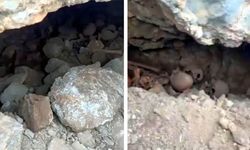 Çok sayıda insan kafatası ve kemik parçaları bulundu
