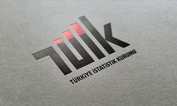 Mayısta fiyatı en çok artan ve düşen ürünler belli oldu
