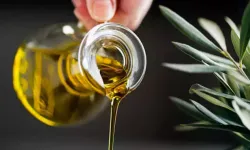Hakiki Zeytinyağı Nasıl Anlaşılır? Sahte Ürünlere Karşı 4 Etkili Test