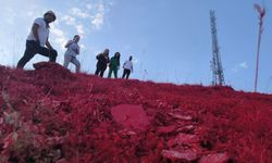 Bahçeşehir Koleji’nden dev Türk bayrağına anlamlı destek