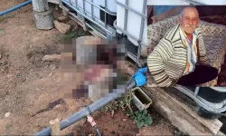 Komşusunu Öldürüp Eşini Yaraladı! Sulama Tartışmasında Pompalı Tüfekle Vurdu