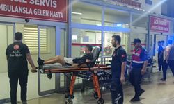 Yol kenarında yaralı bulundu: Jandarma harekete geçti!