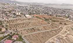 Kahramanmaraş'ta Karbon Yutak Alanı projesi hayata geçiyor