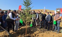 Ak Parti Kahramanmaraş teşkilatından “Geleceğe Nefes” etkinliği