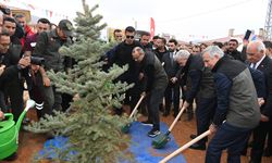 Kahramanmaraş’ta 55 bin fidan toprakla buluştu