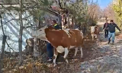 Şekerli vakfı, yangın mağdurunu yalnız bırakmadı