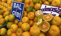 Kahramanmaraş'ta tezgahların gözdesi "portakal ve mandalina"