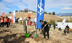 "81 İlde 81 Orman" projesiyle 30 bin fidan toprakla buluştu