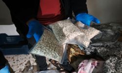 Adana'da 156 bin 418 yasaklı madde ele geçirildi