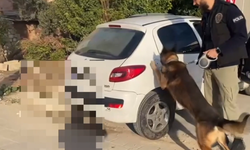 Adana'da 28 kilo 650 gram metamfetamin ele geçirildi