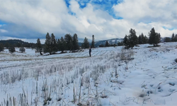 Göksun’da yılın ilk karı büyüledi