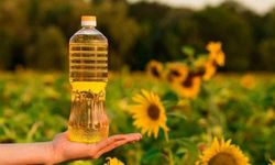 Türkiye ayçiçek yağında dünyayı solladı: %17 artışla zirvede