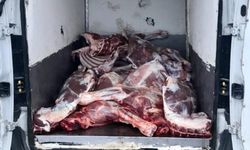 Kaçak ve bozulmuş 6,1 ton hayvansal ürün ele geçirildi