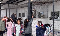 Şahbaz Derneği’nden hayvan sevgisine dokunan etkinlik