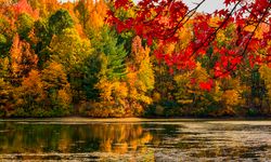 Bu kasım tarihe geçti.. 55 yılın sıcaklık rekoru kırıldı!