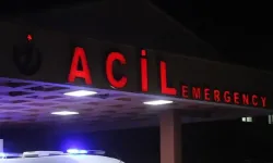 Oynadığı tabancayla kendini vurdu!