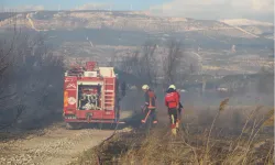 Mersin'de tarla ve çalılık alanda çıkan yangın söndürüldü