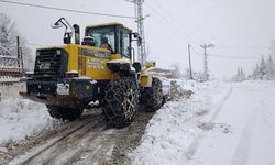 Kahramanmaraş'ta kar nedeniyle 156 kırsal mahalleye ulaşım sağlanamıyor