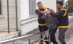 2 Kediyi Kamyonetiyle Ezen Sürücüye Emsal Karar: 1 Ay Barınakta Çalışacak