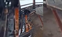 Duyarlı vatandaştan örnek davranış