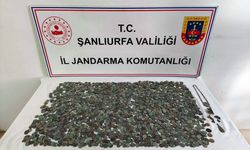 Şanlıurfa'da tarihi eser niteliğinde 2 bin 638 sikke ele geçirildi