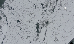 Polonya'da Vistül Nehri 14 yıl sonra ilk kez buz tuttu