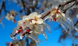 İlk Cemre Düştü, Gözler İkincisinde: Cemre Suya Ne Zaman Düşecek?