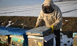 Depremde arılarını kaybeden arıcıya devlet desteği!