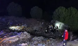 Adana'da şarampole yuvarlanan kamyonun sürücüsü yaralandı