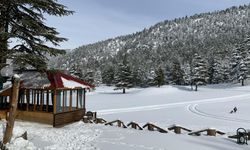 Başkonuş Yaylası ziyaretçi akınına uğradı