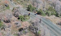 Diyarbakır'da kaybolan 84 yaşındaki zihinsel engelliyi arama çalışmaları sürüyor