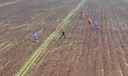Diyarbakır'da kaybolan kadını arama çalışmaları 12'nci gününde sürüyor
