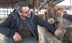 Depremzede besici, devlet desteğiyle hayvan sayısını katladı