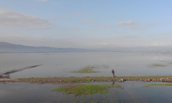 Kahramanmaraş'ta binlerce dönüm tarım arazisi su altında kaldı