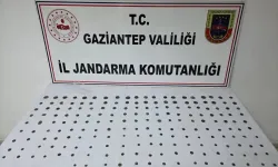 Gaziantep'te düzenlenen operasyonda 195 sikke ele geçirildi
