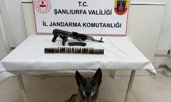 Şanlıurfa'da silah kaçakçılığı operasyonunda 1 şüpheli yakalandı