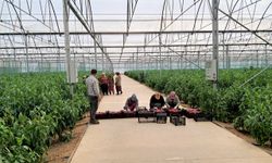 Kahramanmaraş'ta depremzede girişimcilere 452 milyon liralık hibe