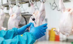 Ticaret Bakanlığı’ndan Fiyat Hamlesi: Kanatlı Eti İhracatı Durduruldu