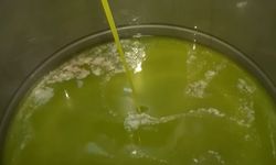 Kahramanmaraş’ta 5 bin ton sızma zeytinyağı üretildi