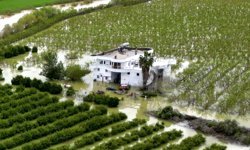 Mersin'de sağanak nedeniyle tarım arazileri su altında kaldı