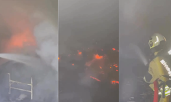 Pazarcık'ta çiftlikte çıkan yangın kontrol altına alındı