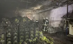 Manavgat'ta muz sarartma tesisinde çıkan yangın söndürüldü