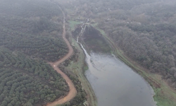 İstanbul'a su sağlayan barajların doluluk oranı yüzde 50'nin üzerine çıktı