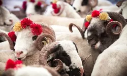 Kurban Bayramı Ne Zaman 2026? Bayram Tatili Kaç Gün?